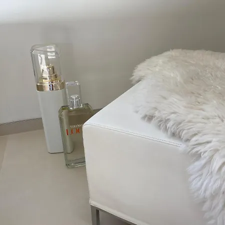 Apartment 100 Qm Sonnendurchflutetes Loft, Sonnenbalkon Wiesbaden